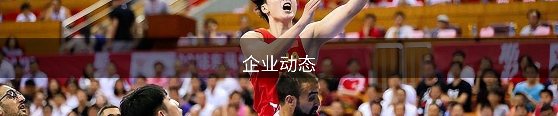 企业动态