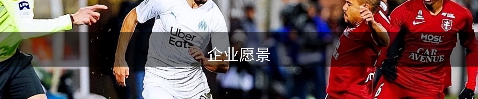 企业愿景